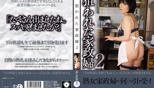 狙われた家政婦2