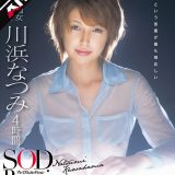 1sdmt00641aipl