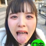 H 1651nko0500002pl