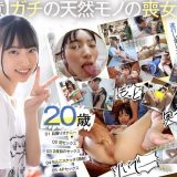 1sdam00153pl