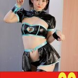 H 1489j9900709apl